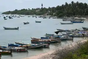 இலங்கைக் கடற்படையைக் கண்டித்து பாம்பனில் மீனவர்கள் போராட்டம்