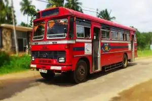 யானைகள் உள்ள நடுக் காட்டுக்குள் பயணித்த பேருந்தில் இருந்து விழுந்த பையை எடுப்பதற்காக இறங்கிய நபரை விட்டுச்...