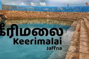 யாழ்.கீரிமலையிலிருந்து பருத்தித்துறை ஊடாக கொழும்புக்கான பேருந்து சேவை இன்று முதல் மீள ஆரம்பமாகிறது.