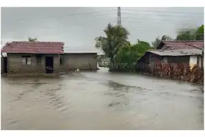 மன்னாரில் நேற்று (23) இரவு முதல் இன்று (24) காலை வரை பெய்த மழையால் பல பகுதிகள் வெள்ளத்தில் மூழ்கின.