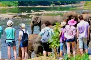 அச்சமில்லாமல் இலங்கைக்கு வருகை தருமாறு வெளிநாட்டு சுற்றுலாப் பயணிகளுக்கு அழைப்பு