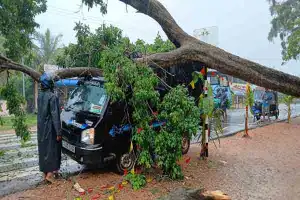 தர்மபுரம் சுண்டிக்குளம் பகுதியில் மரம் ஒன்று வேருடன் சாய்ந்ததில் வாகனம் ஒன்று சேதமடைந்துள்ளது.