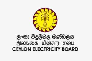 இலங்கையில் மின்சார சபையை ஆக்கிரமித்துள்ள மாபியாக்களை கட்டுப்படுத்தாமல் மின் கட்டணத்தை குறைக்க முடி யாது.