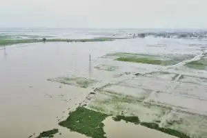 அம்பாறை டி. எஸ். சேனநாயக்க நீர்த்தேக்கத்தின் ஒரு வான்கதவு திறந்து விடப்பட்ட நிலையில் பெரும்போக வேளாண்மை செய்கை பாதிப்பு